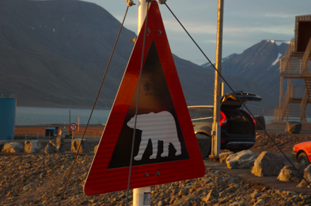 Polar bear sign